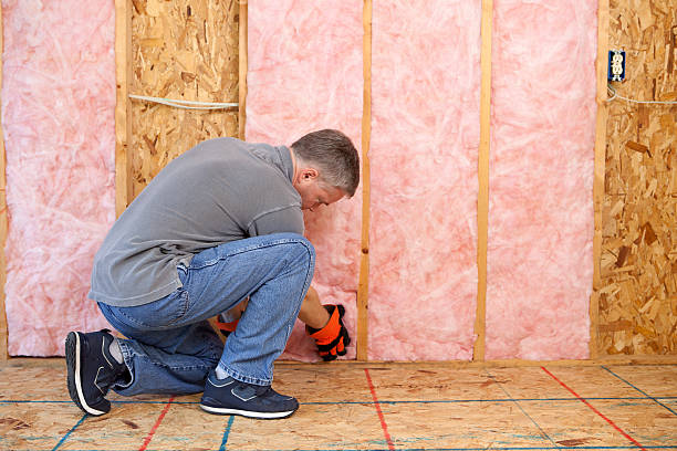 Best Insulation Maintenance and Repair in Choccolocco, AL