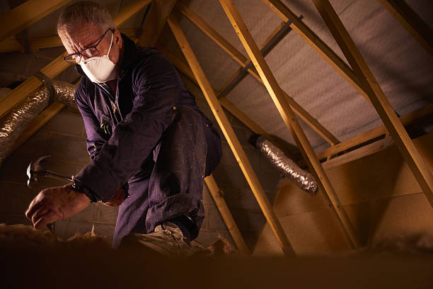 Best Insulation Installation Services in Choccolocco, AL